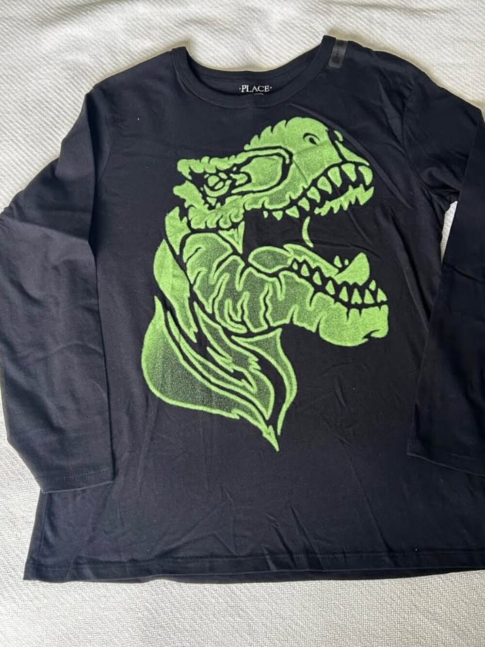 Dinosaur Long Sleeve Shirt Boys Size L 10–12
